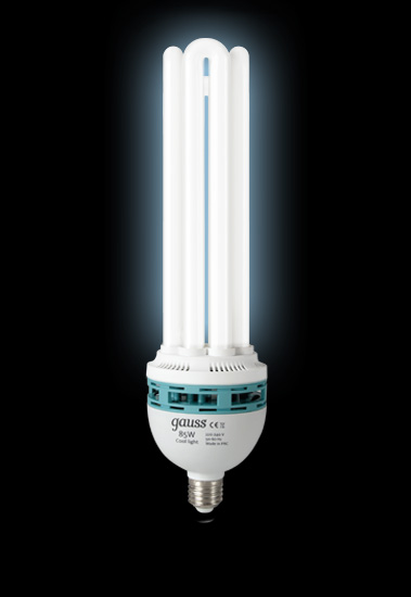 Энергосберегающая лампа Gauss 4U 220-240V 85W 6500K E27  
